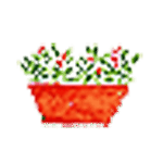 Balkonnövény