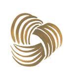Gyapjuszell