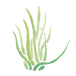 Gyomlalas