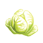 Kaposztasav