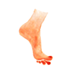 Labtorna